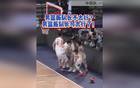 趙睿硬核表現(xiàn)！中國(guó)男籃勝日本！