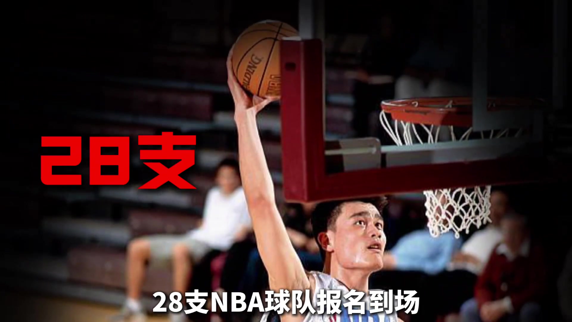 為了考察菜鳥姚明 NBA居然舉辦了歷史上規(guī)模最大的一次試訓(xùn)！
