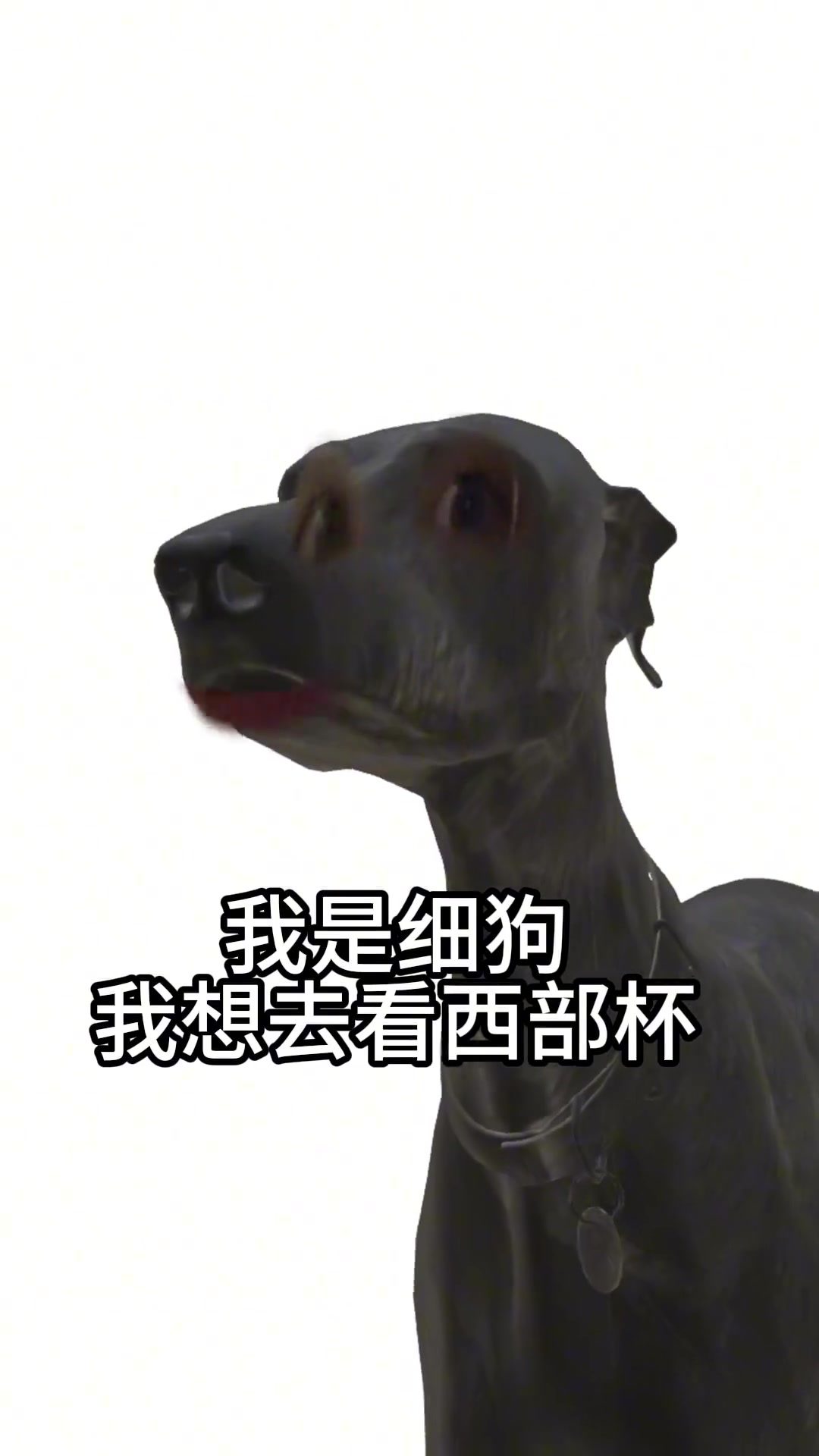 陜西聯(lián)合官方這么抽象的