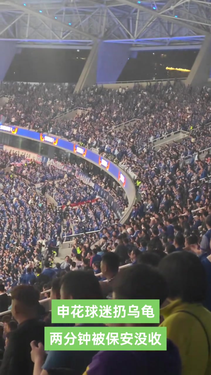 申花球迷在看臺(tái)扔毛絨龜自娛自樂，結(jié)果被保安沒收