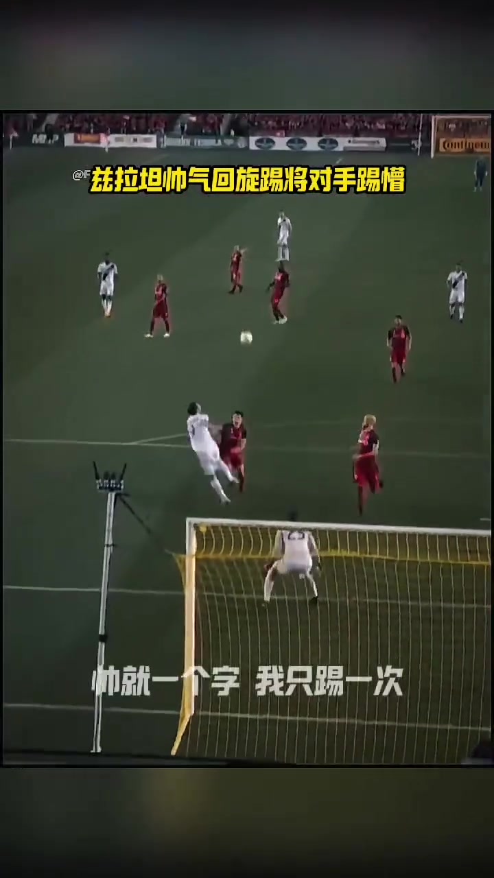 伊布：帥就一個字，哥只說一次！
