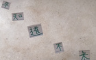 真敢言！國安主帥賽蒂恩，知場地差則不來。