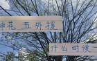 申花外援上場(chǎng)時(shí)機(jī)及四大豪門對(duì)比
