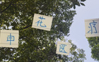 申花醫(yī)療投資見效，除阿馬杜外，隊(duì)員快速恢復(fù)。
