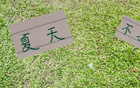 申花領(lǐng)先6分，國安續(xù)約烏，夏窗穩(wěn)定。