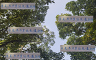 申花米內(nèi)羅職場(chǎng)專業(yè)，假期仍訓(xùn)練，加班發(fā)圈感。