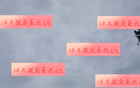 武磊傷退，海港備戰(zhàn)補(bǔ)賽。