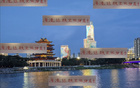 奧斯卡離隊，海港缺定位球高手，需尋新策略。