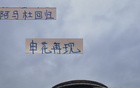 申花教練親承，阿馬杜回歸訓(xùn)練，黑人體質(zhì)不俗。