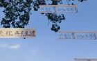 聽賀偉解說，國足世預(yù)賽免費直播，央視待定。