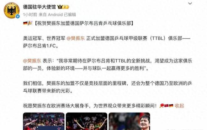 樊振東德甲6天，三大益處顯，俱樂部贊其瘋狂。