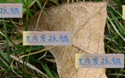 米內(nèi)羅出局，申花急招外援，夏窗換血定局！