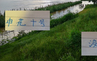 路替代，特?zé)o可替代，申花10號幸免停賽。