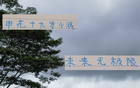 申花新星19歲國腳，聯(lián)賽三球，超越米內(nèi)羅。
