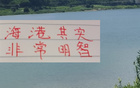 海港明智，無奧斯卡仍爭(zhēng)前四；山東艱難，缺費(fèi)萊尼。