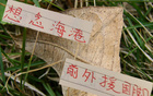 中超三強，海港缺國腳外援，奧斯卡思念球迷。