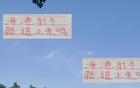 申花失中超最佳射手之望，海港萊昂納多能否趕超？