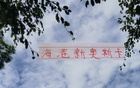 海港迎奧斯卡，非巴西11號(hào)。