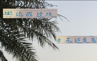 事出反常，申花老謀深算，勝后申訴，輿論戰(zhàn)不簡單。