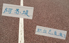 阿蘇埃加班敬業(yè)，申花新援滿分態(tài)度！