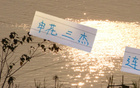 申花三杰連發(fā)，俄帥壓力倍增！