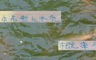申花新星赤幾表現(xiàn)佳，張玉寧級(jí)地位，實(shí)力非水貨。