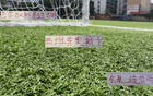 武磊雖離江湖，仍助海港獲奧斯卡風(fēng)范。