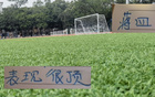 后衛(wèi)能變陣，申花雙星難代帕爾默，東亞杯實(shí)力強(qiáng)。
