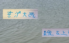 京滬大戰(zhàn)，申花體力消耗大，國(guó)安占優(yōu)。