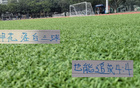 戴冠負(fù)重，申花笑中藏險(xiǎn)，終扳平。