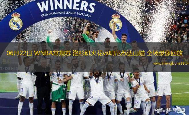 06月22日 WNBA常規(guī)賽 洛杉磯火花vs明尼蘇達山貓 全場錄像回放