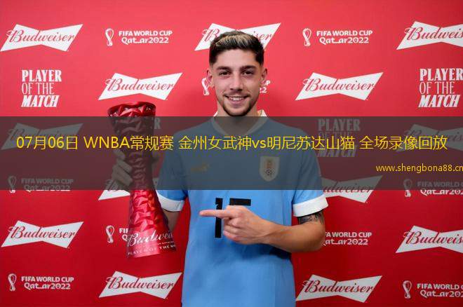 07月06日 WNBA常規(guī)賽 金州女武神vs明尼蘇達山貓 全場錄像回放