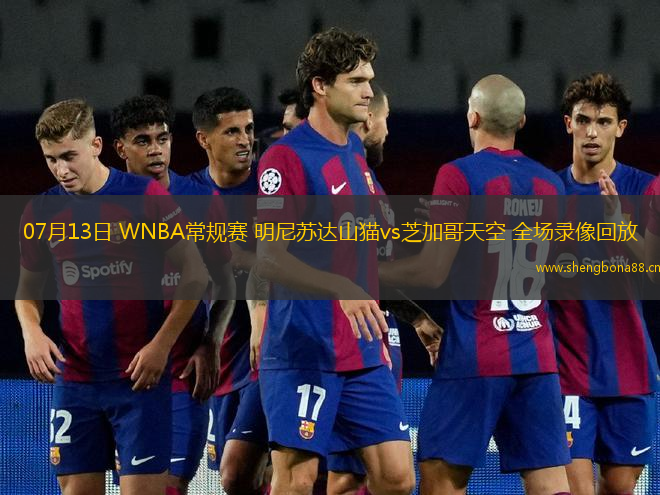 07月13日 WNBA常規(guī)賽 明尼蘇達山貓vs芝加哥天空 全場錄像回放