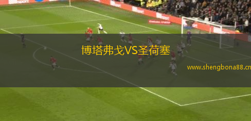 博塔弗戈VS圣荷塞