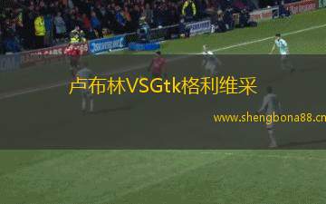 盧布林VSGtk格利維采