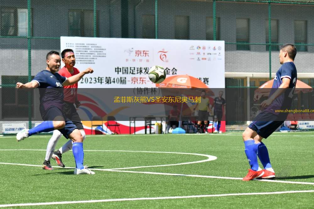 孟菲斯灰熊VS圣安東尼奧馬刺