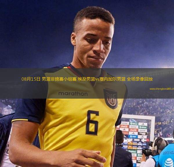 08月15日 男籃非錦賽小組賽 埃及男籃vs塞內(nèi)加爾男籃 全場錄像回放