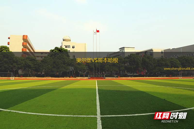 奧爾堡VS哥本哈根