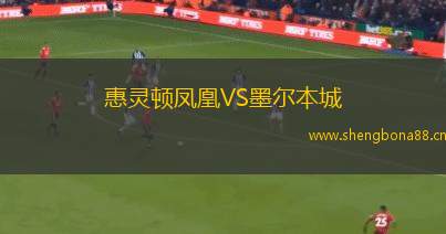 惠靈頓鳳凰VS墨爾本城
