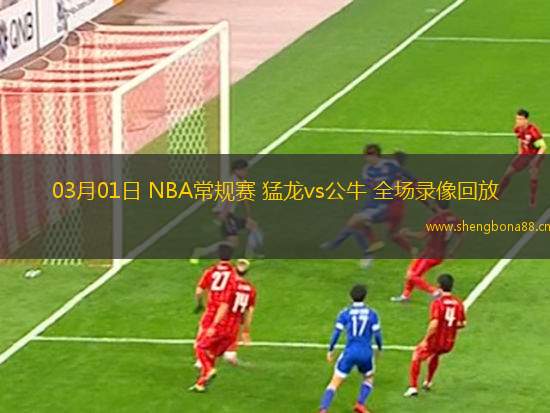 03月01日 NBA常規(guī)賽 猛龍vs公牛 全場錄像回放