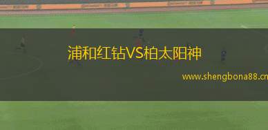 浦和紅鉆VS柏太陽神