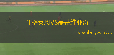 菲格萊恩VS蒙蒂維亞奇