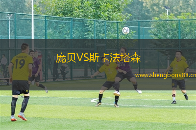 龐貝VS斯卡法塔森