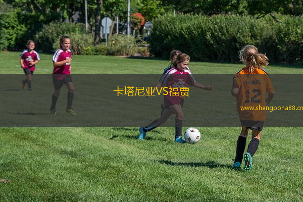 卡塔尼亞VS福賈