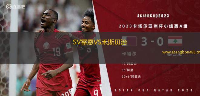 SV霍恩VS禾斯貝治