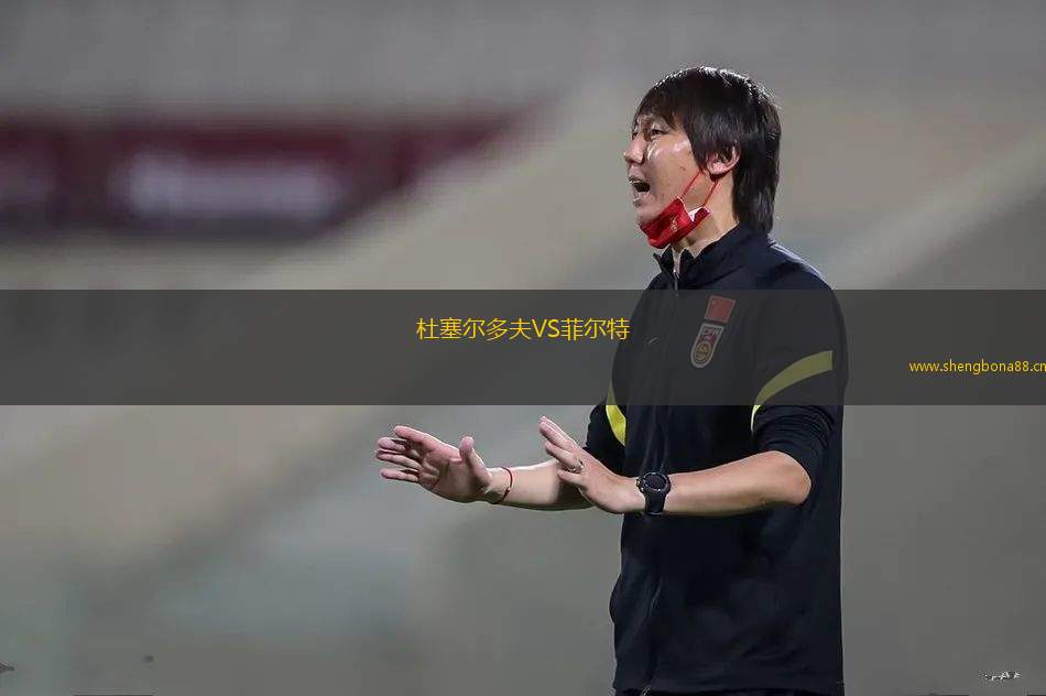杜塞爾多夫VS菲爾特