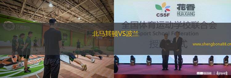 北馬其頓VS波蘭