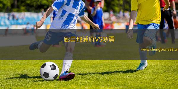 廊莫那浦府VS羅勇
