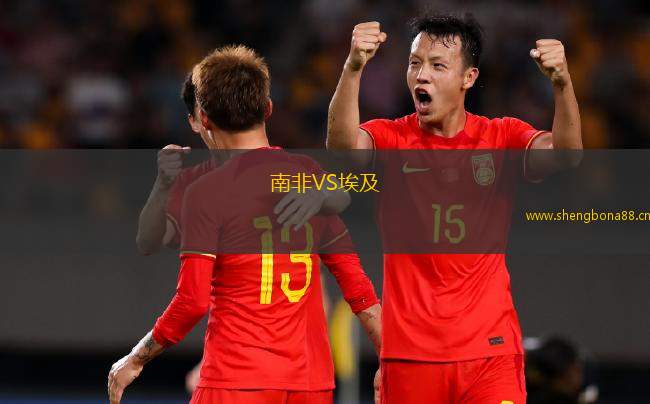 南非VS埃及