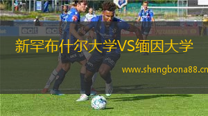 新罕布什爾大學(xué)VS緬因大學(xué)